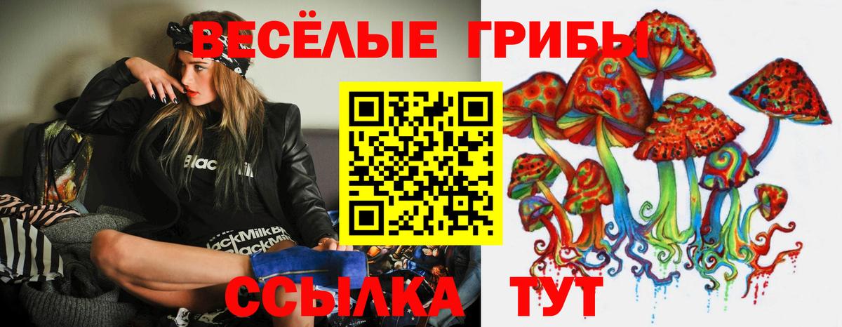 Псилоцибиновые грибы Cubensis  Вход с VPN  Галлюциногенные грибы Psilocybine cubensis  Старый Оскол 